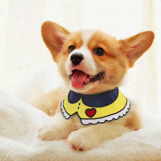 Collar para Mascotas Ajustable y Seguro - Image 2