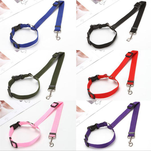 Arnés de Seguridad Multicolor para Mascotas en Auto - Image 18