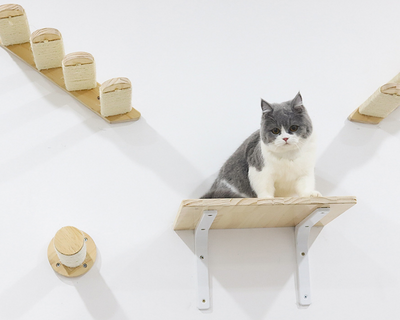 Centro de Juegos Felino Multinivelado de Madera de Pino con Hamaca y Cápsula - Image 15
