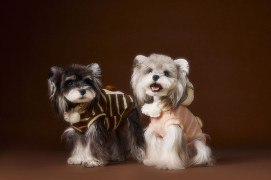Suéter Acogedor de Galleta Felt para Mascotas - Otoño e Invierno - Image 16