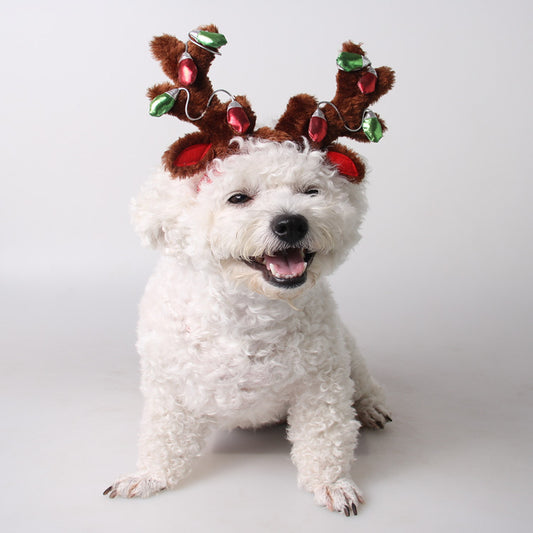 Sombreros y Adornos Navideños para Perros y Gatos - Image 2