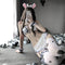 Conjunto de Mucama Seductor con Abertura Frontal para uso en Ecuador