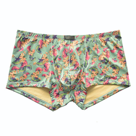 Bóxers Grandes Estampado Gingko para Hombre - Image 7