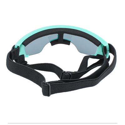 Gafas de Sol Protectoras UV para Perros - Image 6