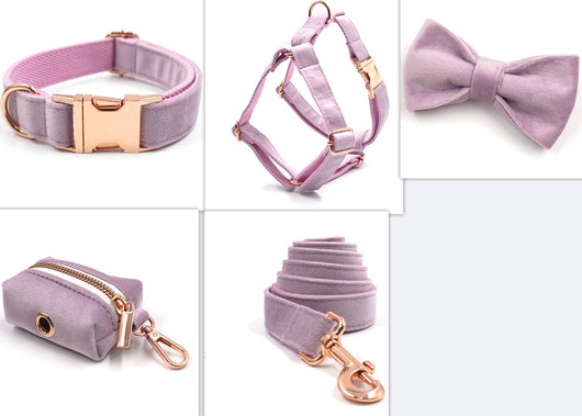 Collar y Correa para Mascotas en Terciopelo Gris Oscuro - Image 17