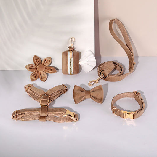 Conjunto de Collar y Correa de Terciopelo Suave para Mascotas - Image 9