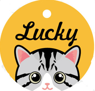 Placa de Identidad Personalizada para Mascotas - Image 18