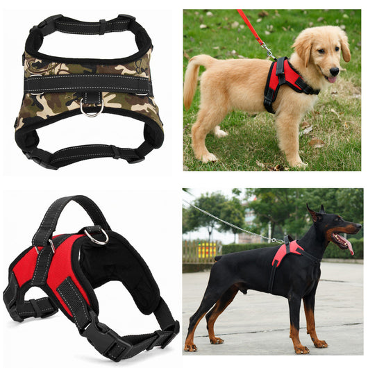 Collar para Perro Mediano y Grande de Calidad Premium - Image 5