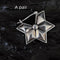 925 Plateado Retro Three-dimensional Six-pointed Star Ear Buckle A pair