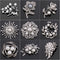 Broche de Perlas y Cristales Brillantes