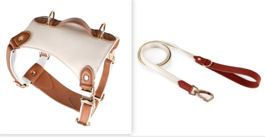 Arnés de Cuero para Mascotas con Cuerda Guía - Image 16