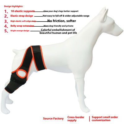 Refuerzo de Rodilla para Perros - Soporte para Patas Traseras - Image 8
