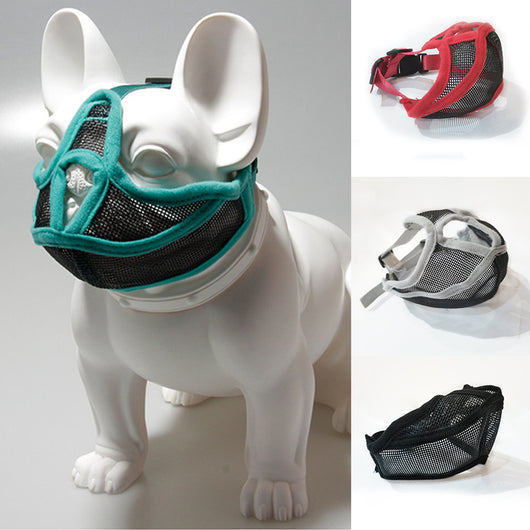 Protector Bucal para Perros de Hocico Corto - Image 12