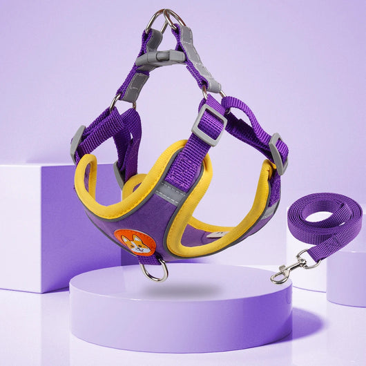 Arnés y Correa para Perro Pequeño - Set Ajustable con Reflectantes - Image 16