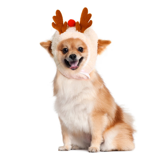 Disfraz Navideño para Mascotas - Abrigo Cálido y Divertido para Invierno - Image 2