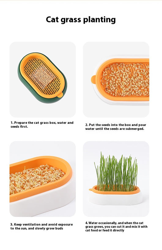 Maceta Hidropónica sin Tierra para Cultivo de Pasto de Gato - Image 8