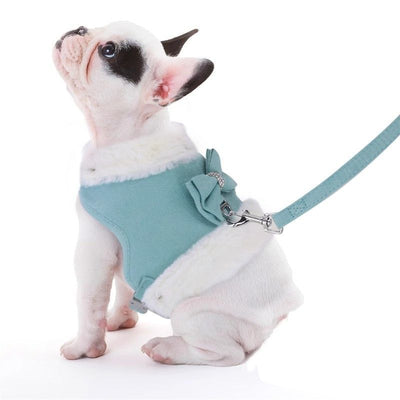 Arnés Cálido para Perro Pequeño con Correa y Moño - Acolchado Suave con Cuello de Pelaje Removible - Image 14