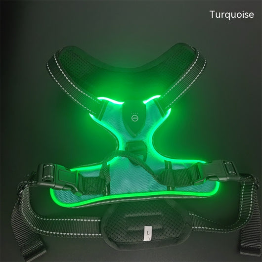 Chaleco LED Luminoso para Paseos Nocturnos de Mascotas con Destello Ajustable - Image 7
