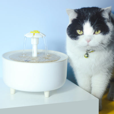 Dispensador Automático de Agua para Mascotas con Filtro Continuo