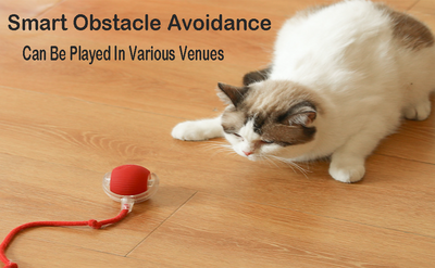 Pelota Inteligente Automática para Perros y Gatos - Juguete Interactivo 360° - Image 12