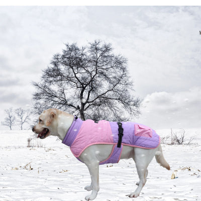 Abrigo Térmico para Perros - Invierno y Otoño - Image 17