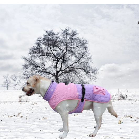 Abrigo Térmico para Perros - Invierno y Otoño - Image 17