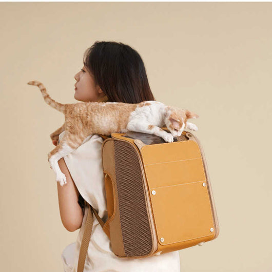 Mochila Transportadora para Gatos Portátil de Gran Capacidad Transpirable - Image 6