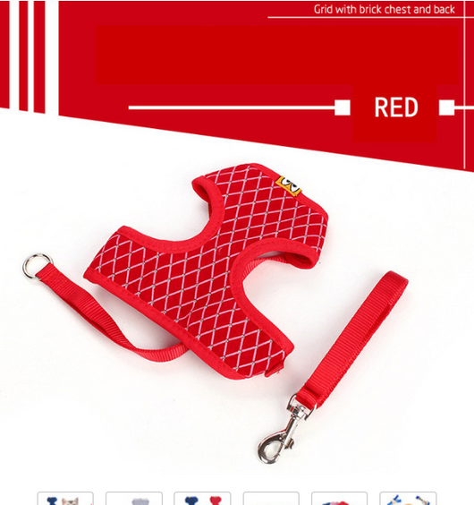 Correa Universal para Perros y Gatos - Image 22