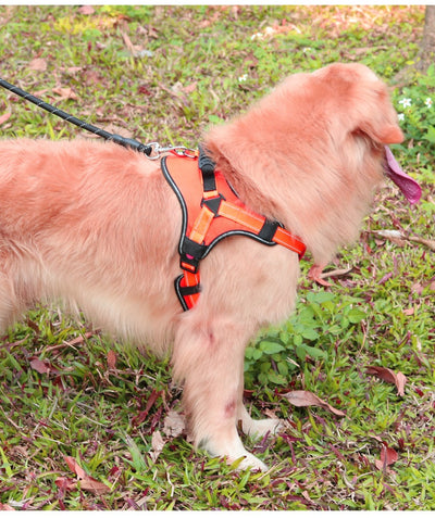 Arnés de Pecho Anti-Tirón para Perros Grandes - Image 10