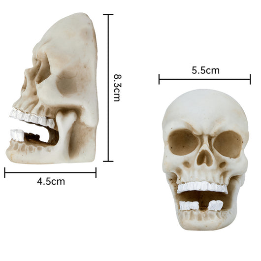 Calavera Decorativa Halloween - Image 9