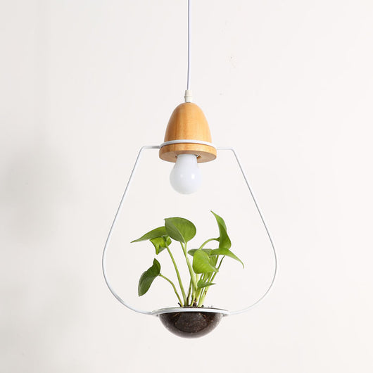 Lámpara Colgante con Plantas - Image 4