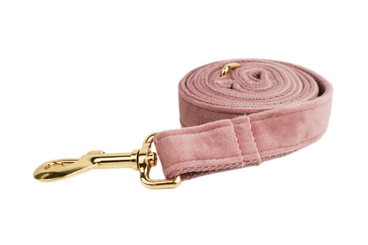 Collar para Perro Morado Claro con Cuerda Ajustable - Image 27