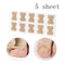 Bege 5 folhas