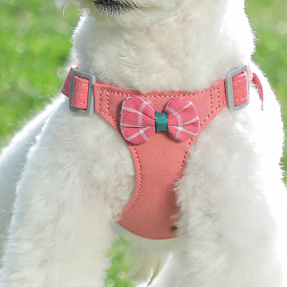 Chaleco Arnés de Cuerda para Perros Pequeños
