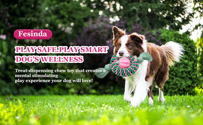 Juguete Masticable Interactivo para Perros - Nylon y Caucho Natural - Image 7