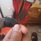 Accessory