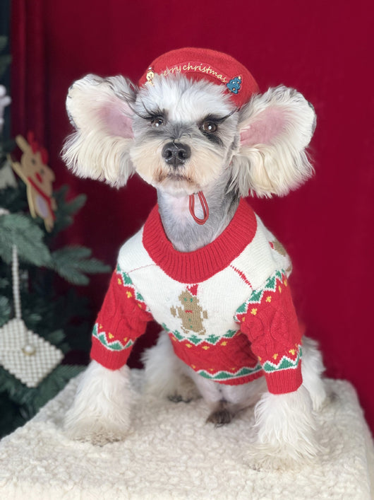 Suéter Navideño para Perros en Lana Premium - Image 9