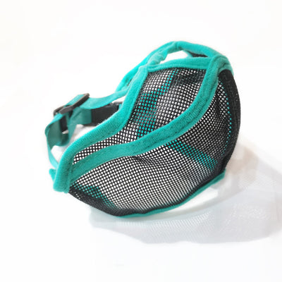 Protector Bucal para Perros de Hocico Corto - Image 11