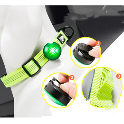 Collar LED Luminoso para Perros - Seguridad Nocturna - Image 8