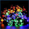 5 M 20 Luzes Quatro Cores