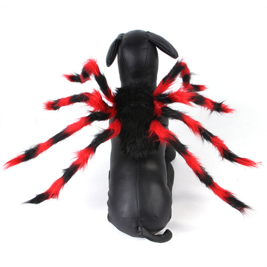 Disfraz de Araña Halloween para Mascotas - Gato y Perro - Image 5