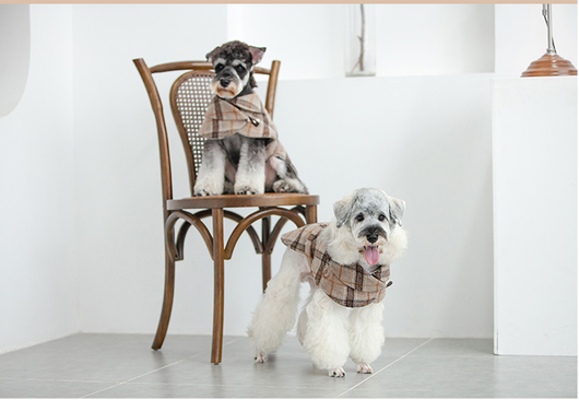 Abrigo Cortaviento para Perros Pequeños - Image 8