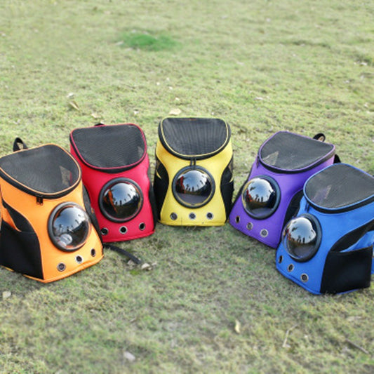 Blue and black pet carrier backpack with a clear bubble window, mesh sides, and ventilation holes, carried by a person outdoors.