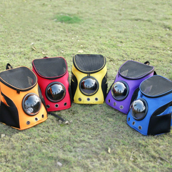 Blue and black pet carrier backpack with a clear bubble window, mesh sides, and ventilation holes, carried by a person outdoors.