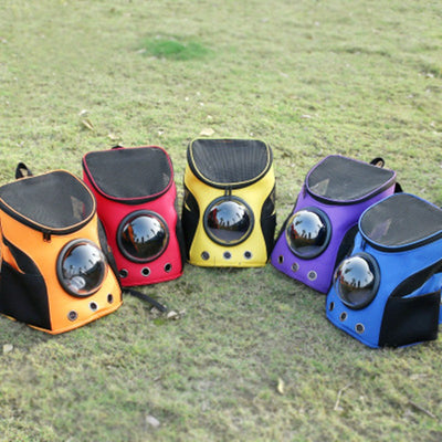 Blue and black pet carrier backpack with a clear bubble window, mesh sides, and ventilation holes, carried by a person outdoors.