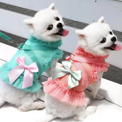 Arnés Respirable con Falda para Perros - Chaleco Cómodo y Fresco - Image 7
