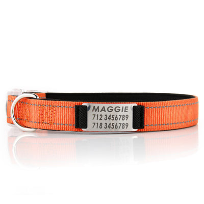Collar de Perro Personalizado de Nylon - Image 11
