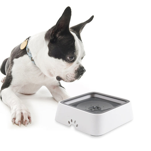 Comedero Automático para Gatos y Perros 2L con Cuenco Flotante Anti-derrames - Image 13