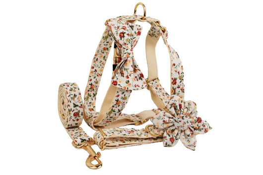 Conjunto de Collar Floral Blanco para Mascotas - Image 9