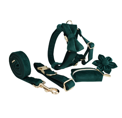 Collar de Terciopelo para Perros - Diseño Elegante y Cómodo - Image 14